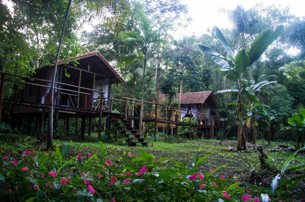 Glamping Mangarito Hotel อีโปรังกา ภายนอก รูปภาพ