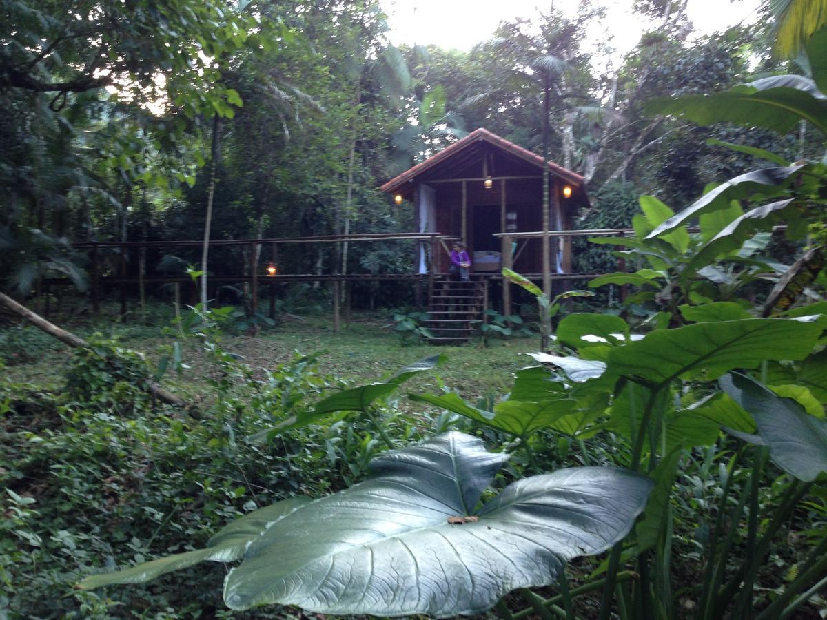 Glamping Mangarito Hotel อีโปรังกา ภายนอก รูปภาพ