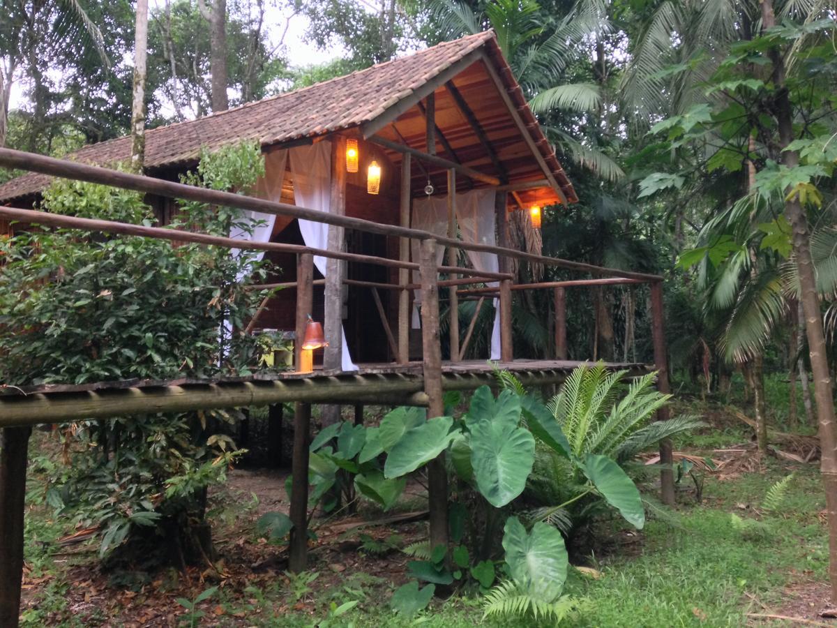Glamping Mangarito Hotel อีโปรังกา ภายนอก รูปภาพ