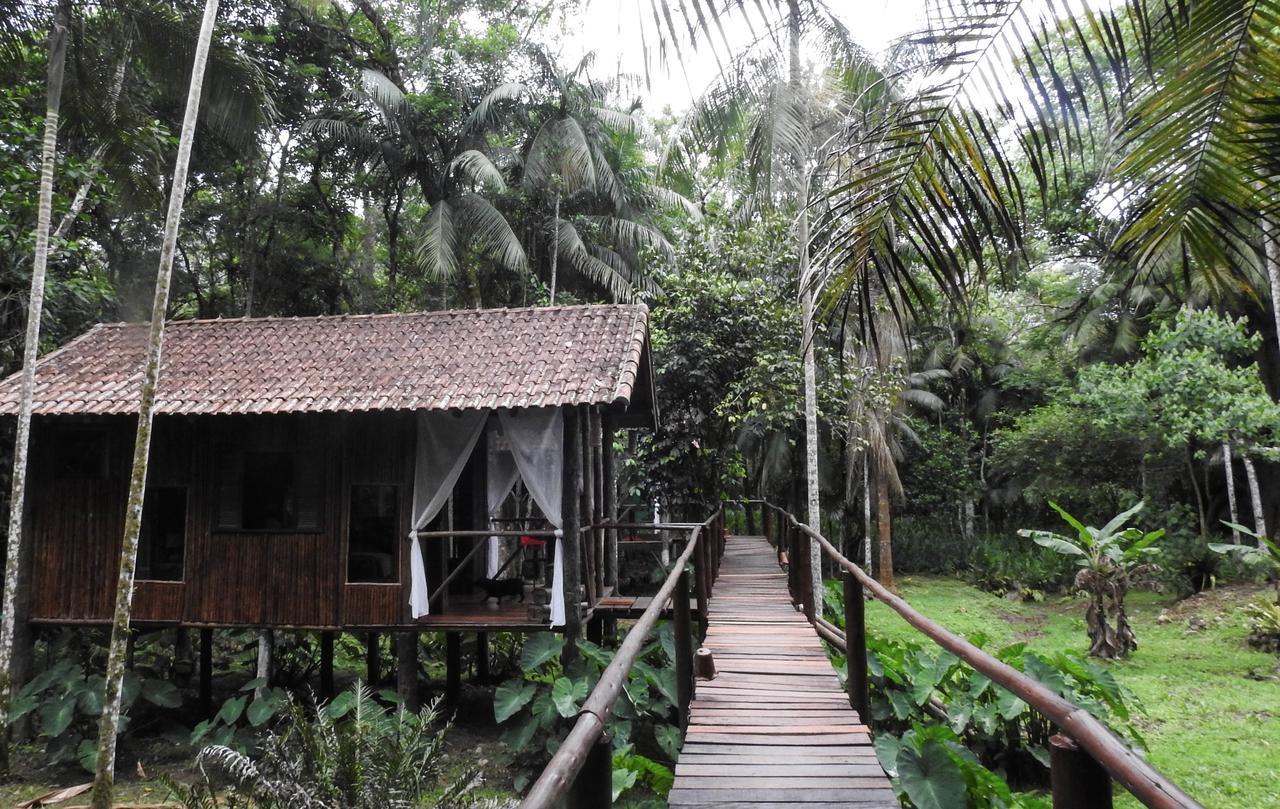 Glamping Mangarito Hotel อีโปรังกา ภายนอก รูปภาพ