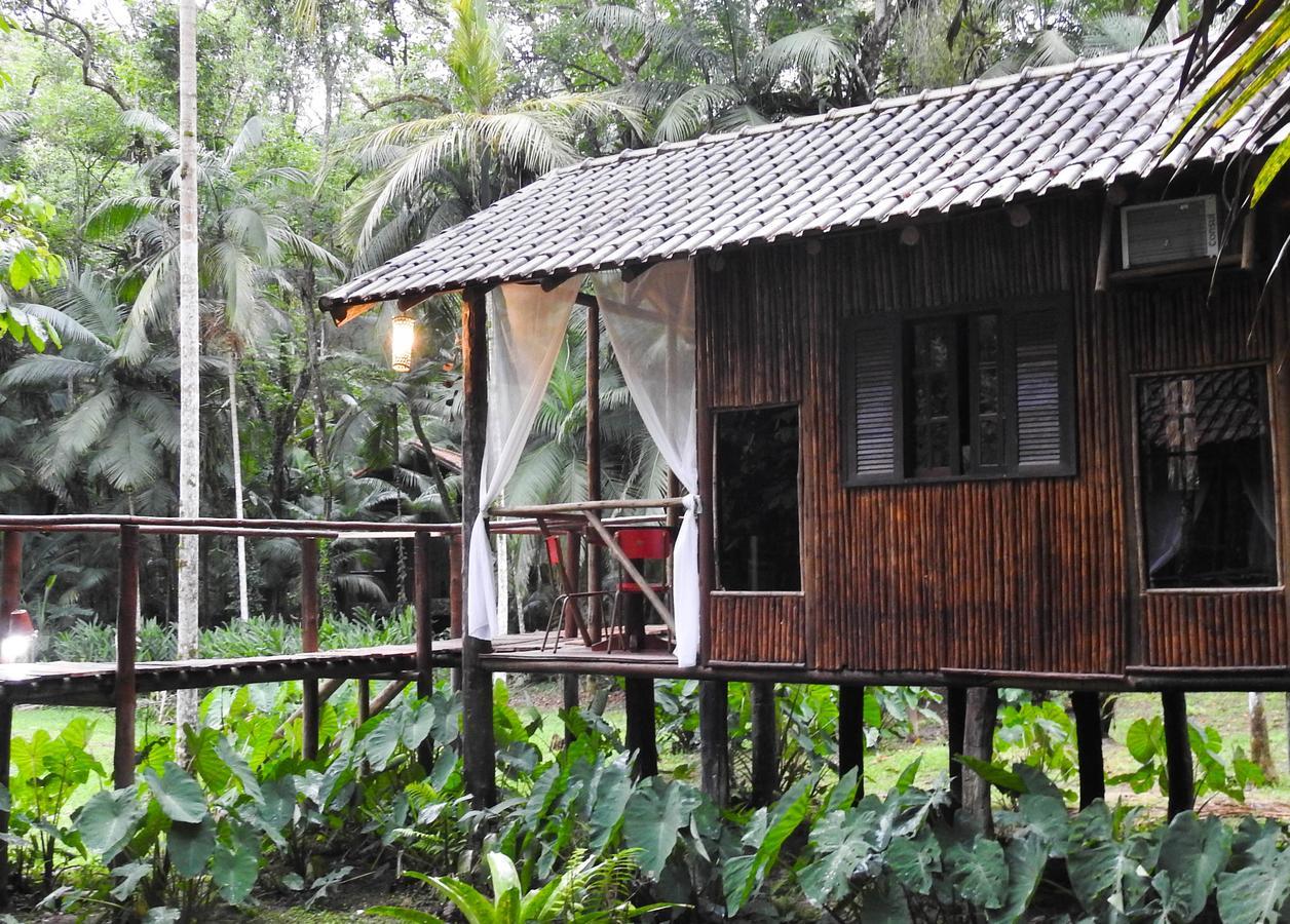 Glamping Mangarito Hotel อีโปรังกา ภายนอก รูปภาพ